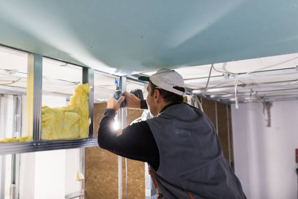 Best Energy-efficient Insulation  in Pocola, OK
