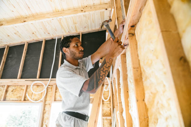 Best Attic Insulation Installation  in Pocola, OK