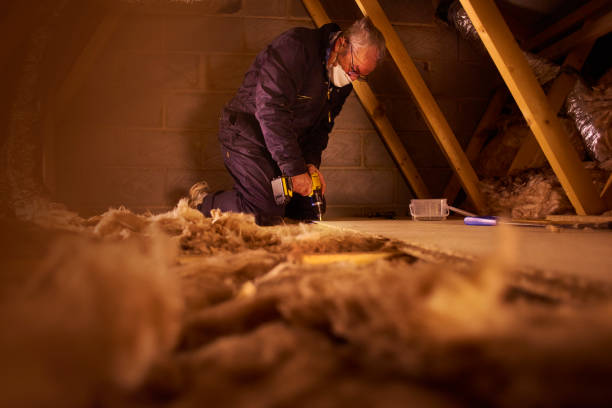 Best Crawl Space Insulation  in Pocola, OK